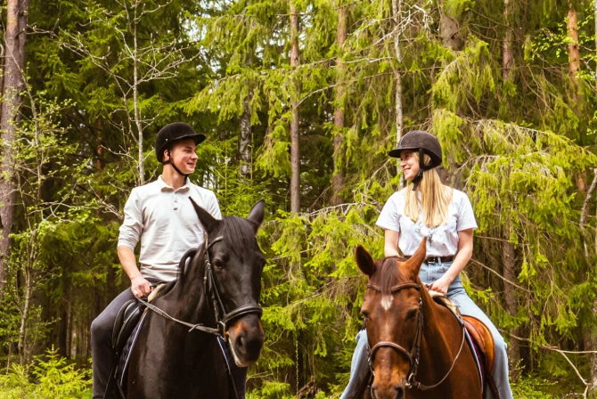 Прогулка на лошадях