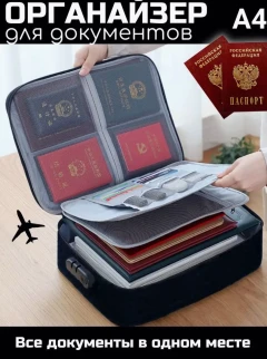 Органайзер для документов с порядком в поездке